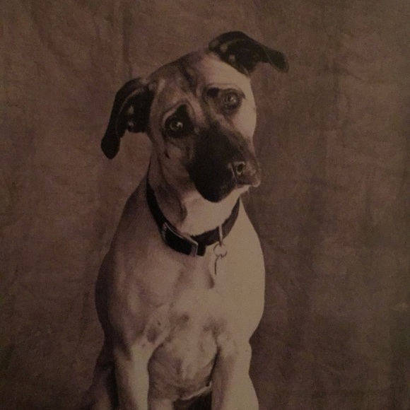 Meet your Posher, Sandi - Picture 2 of 2